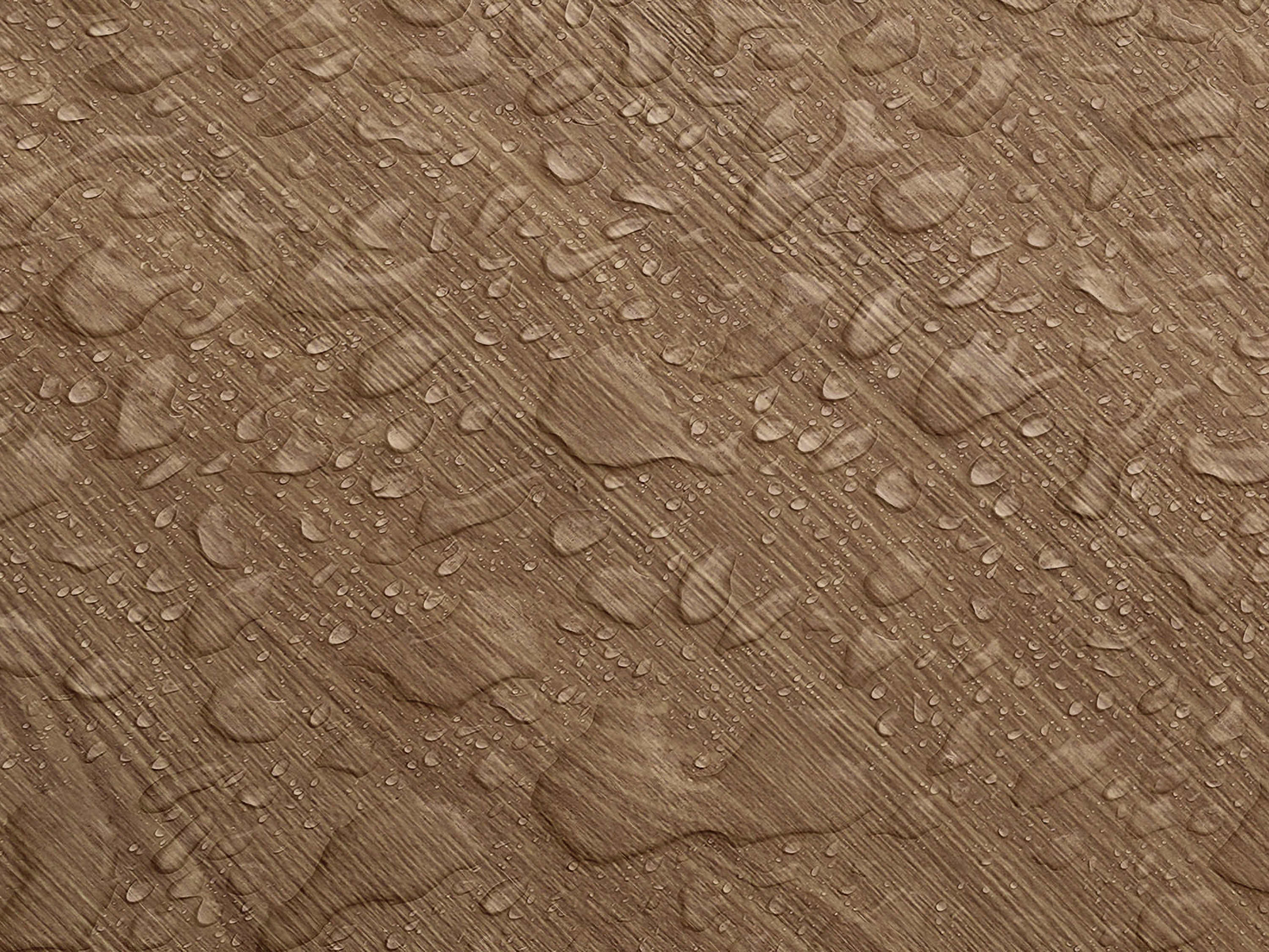Testbild