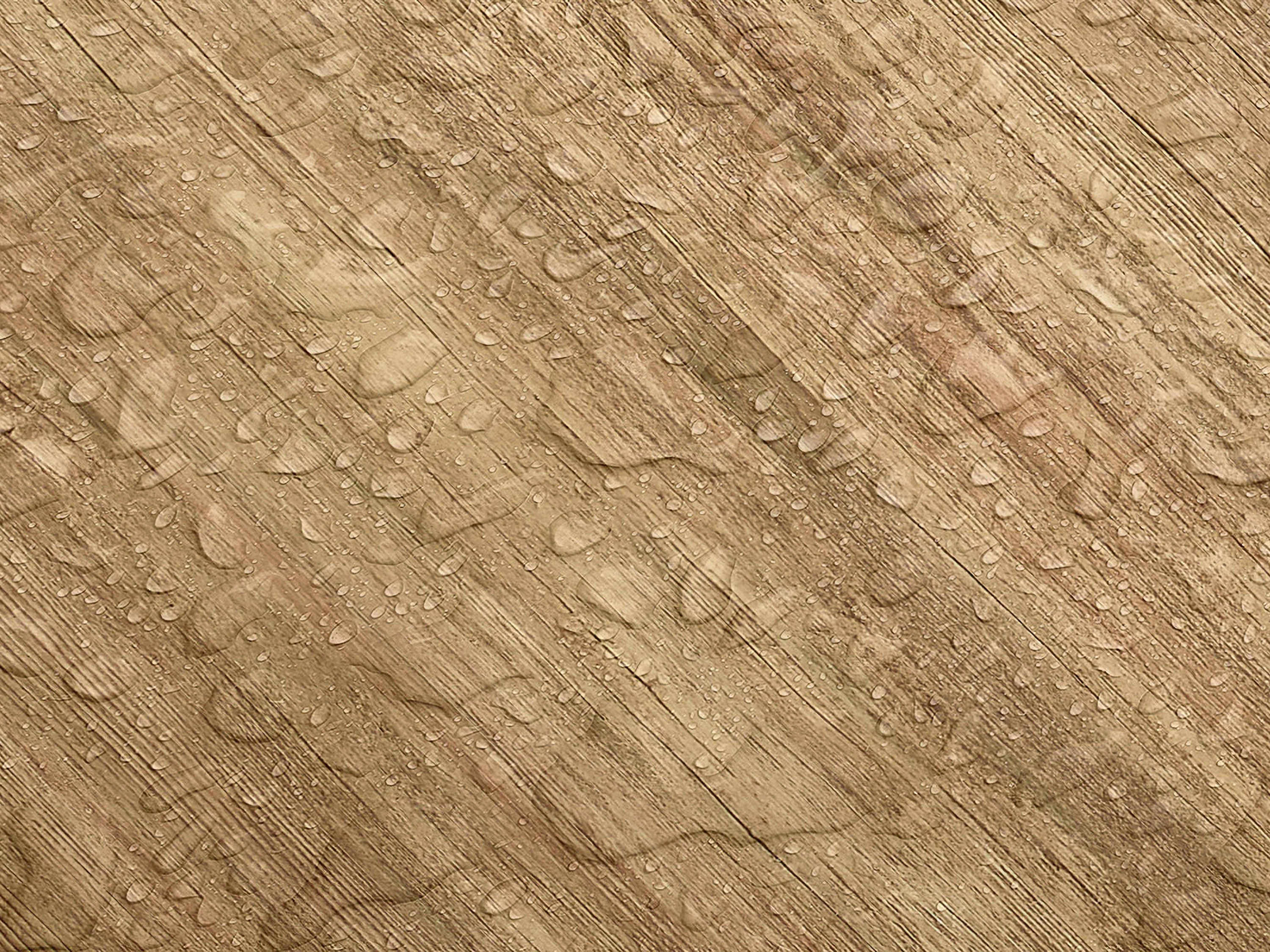Testbild