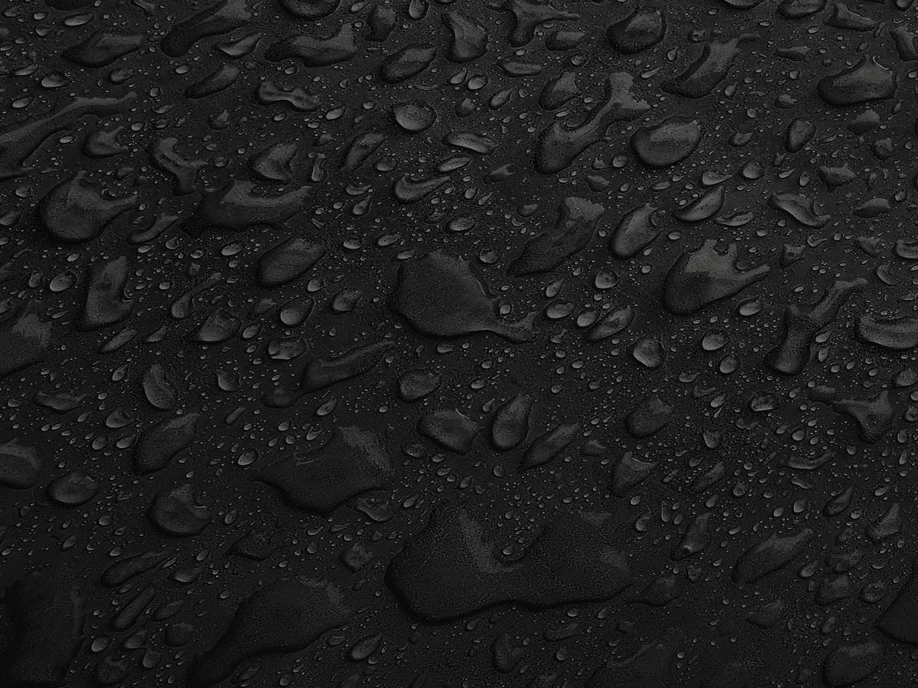 Testbild