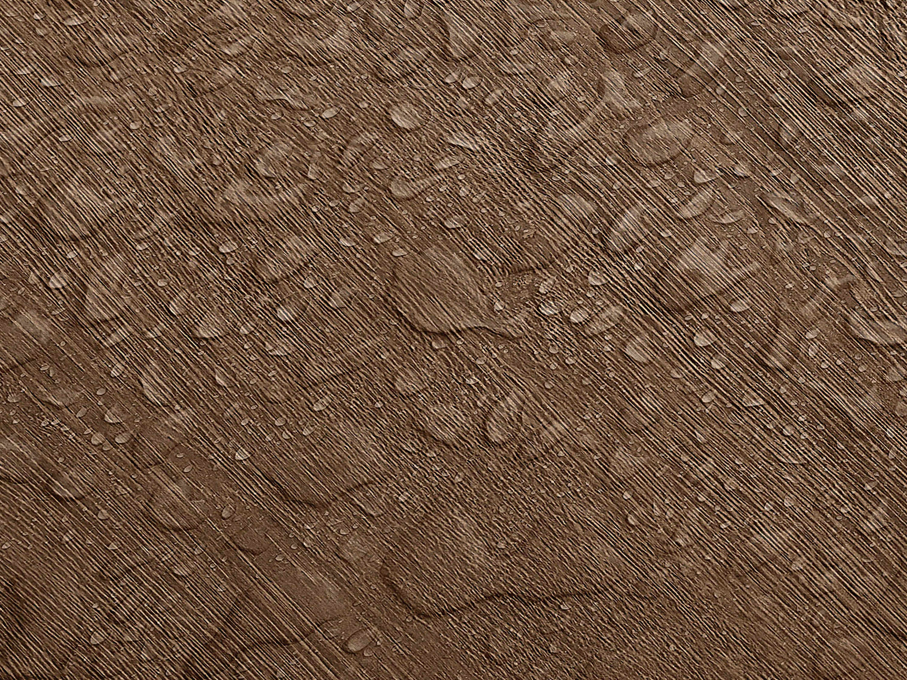 Testbild