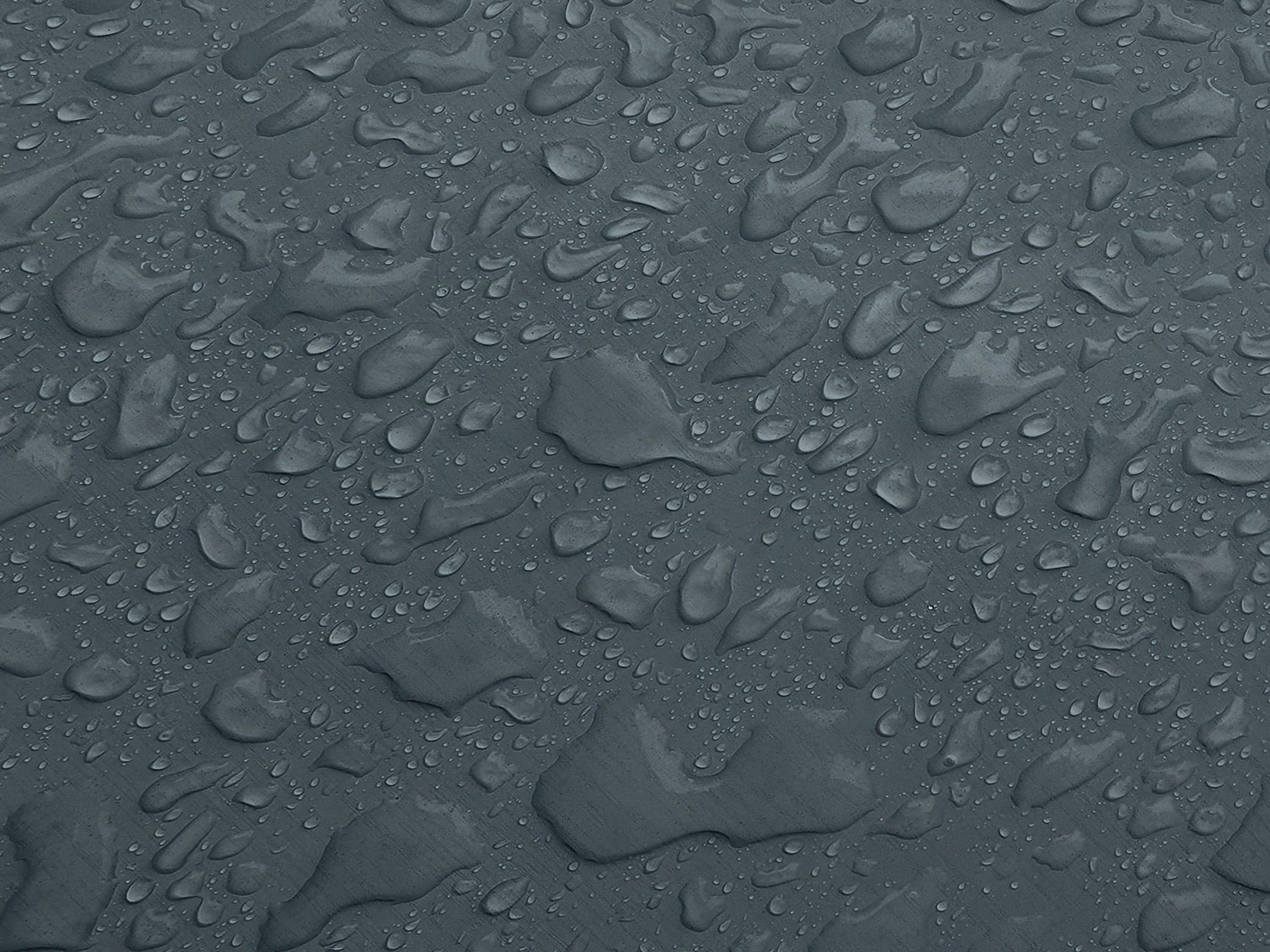 Testbild