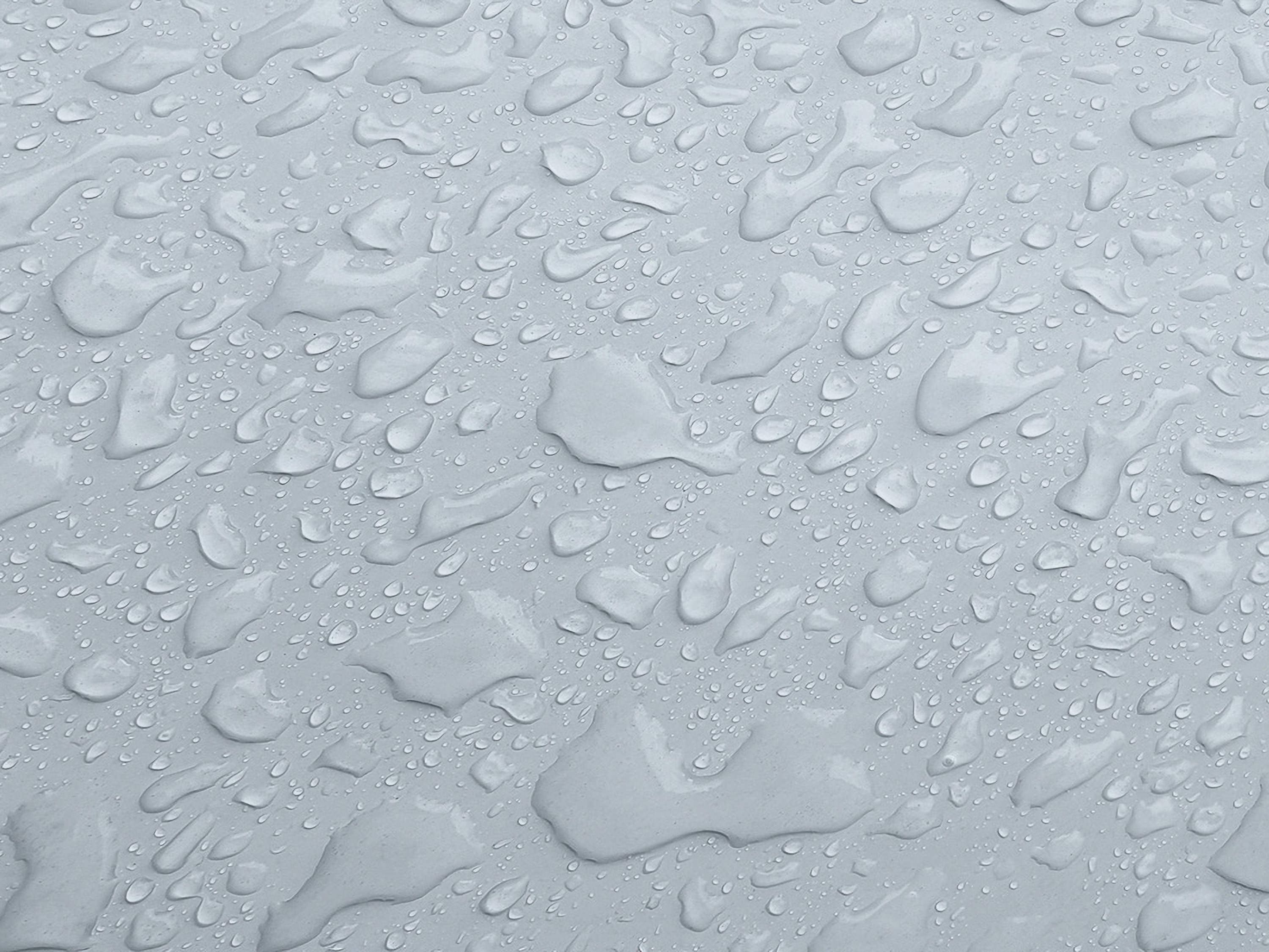 Testbild