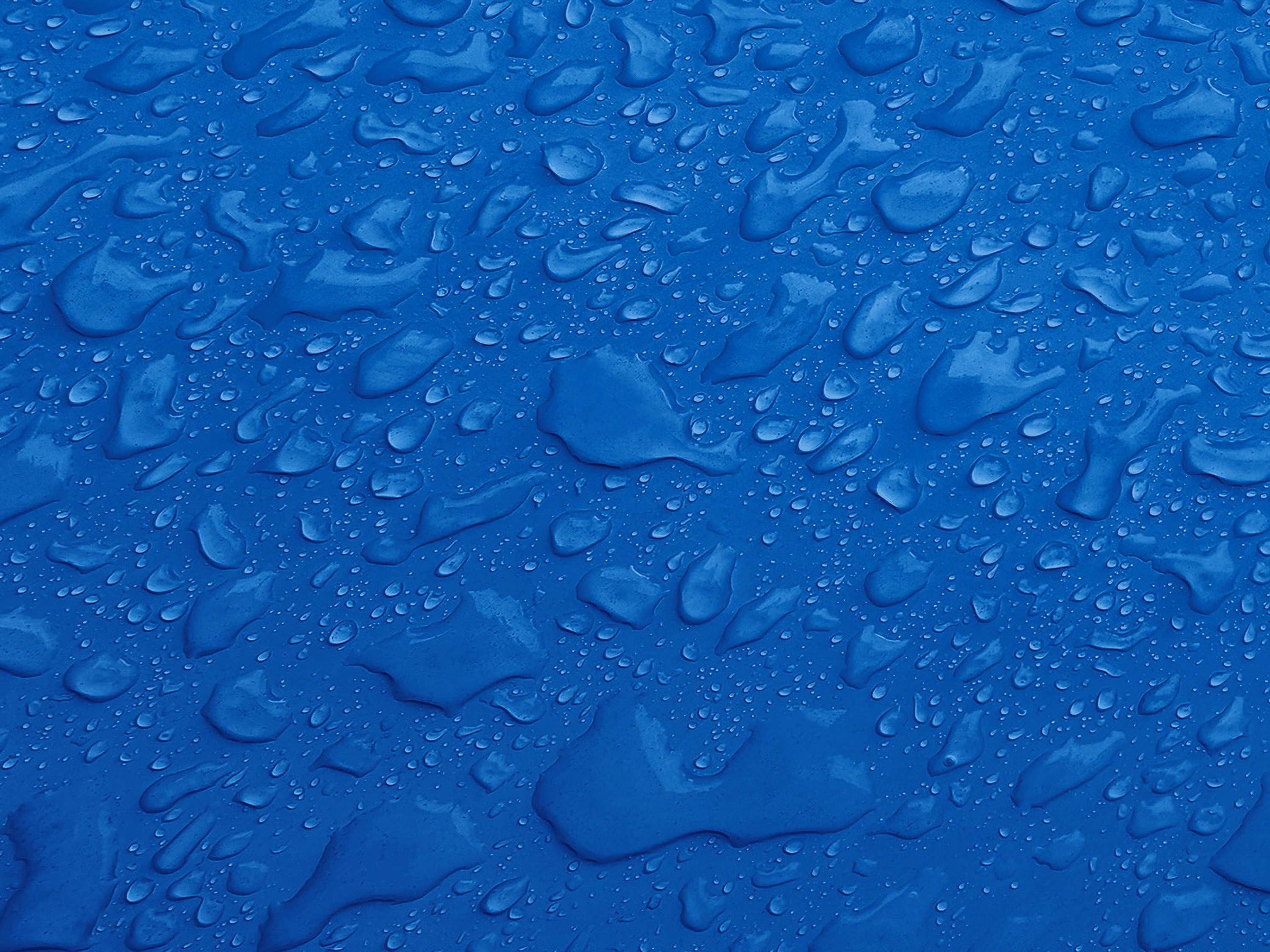 Testbild