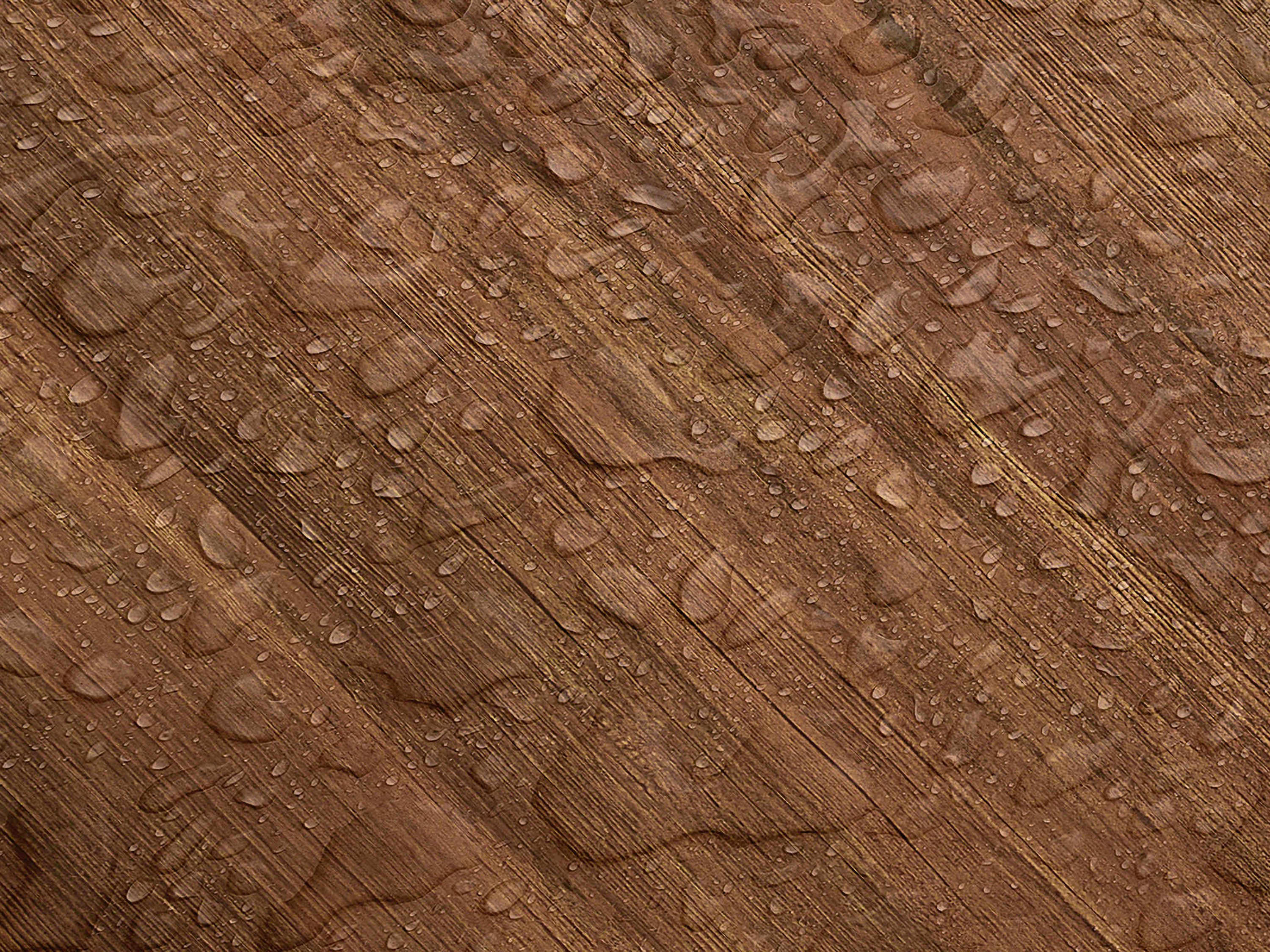 Testbild