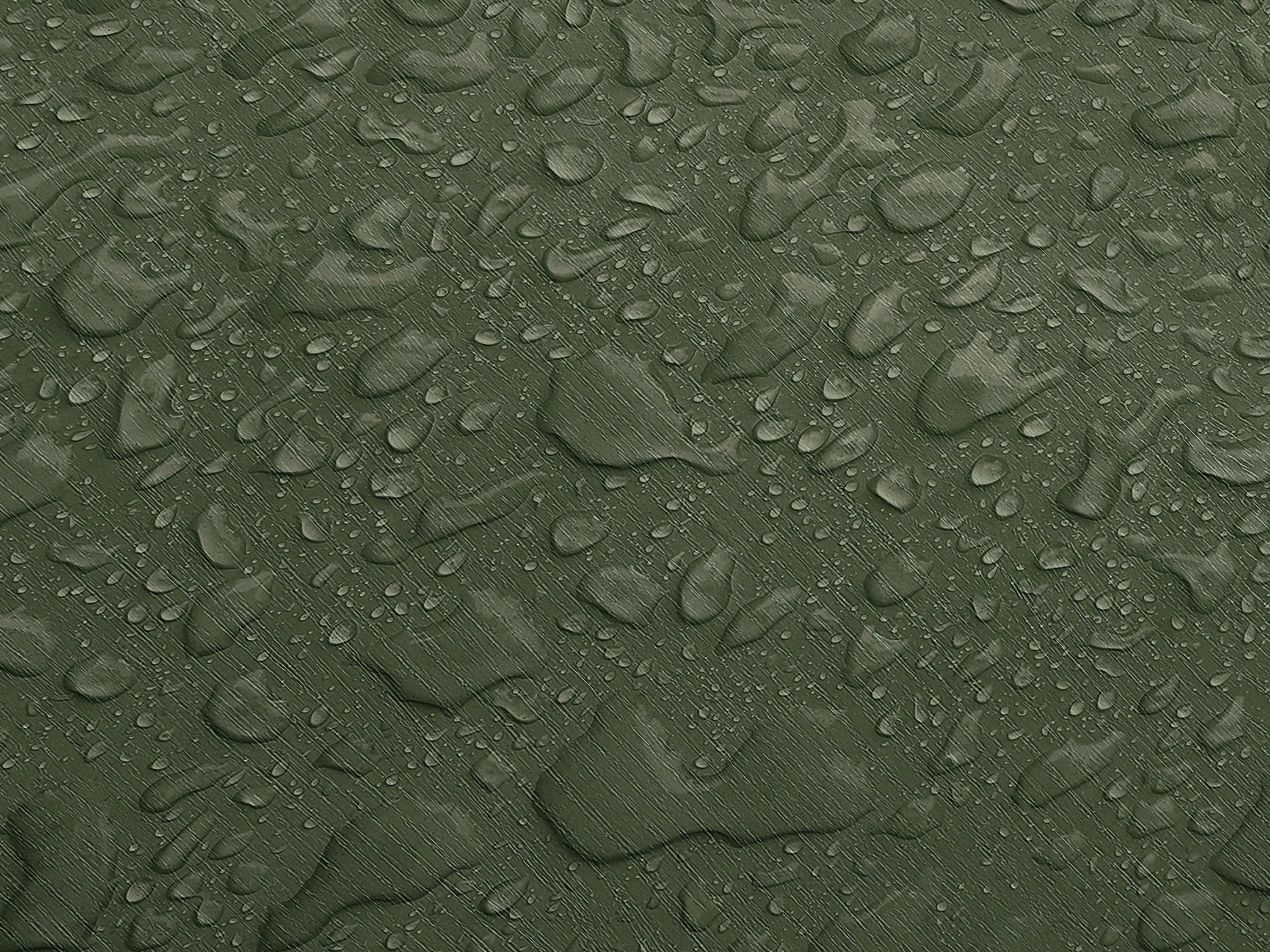 Testbild