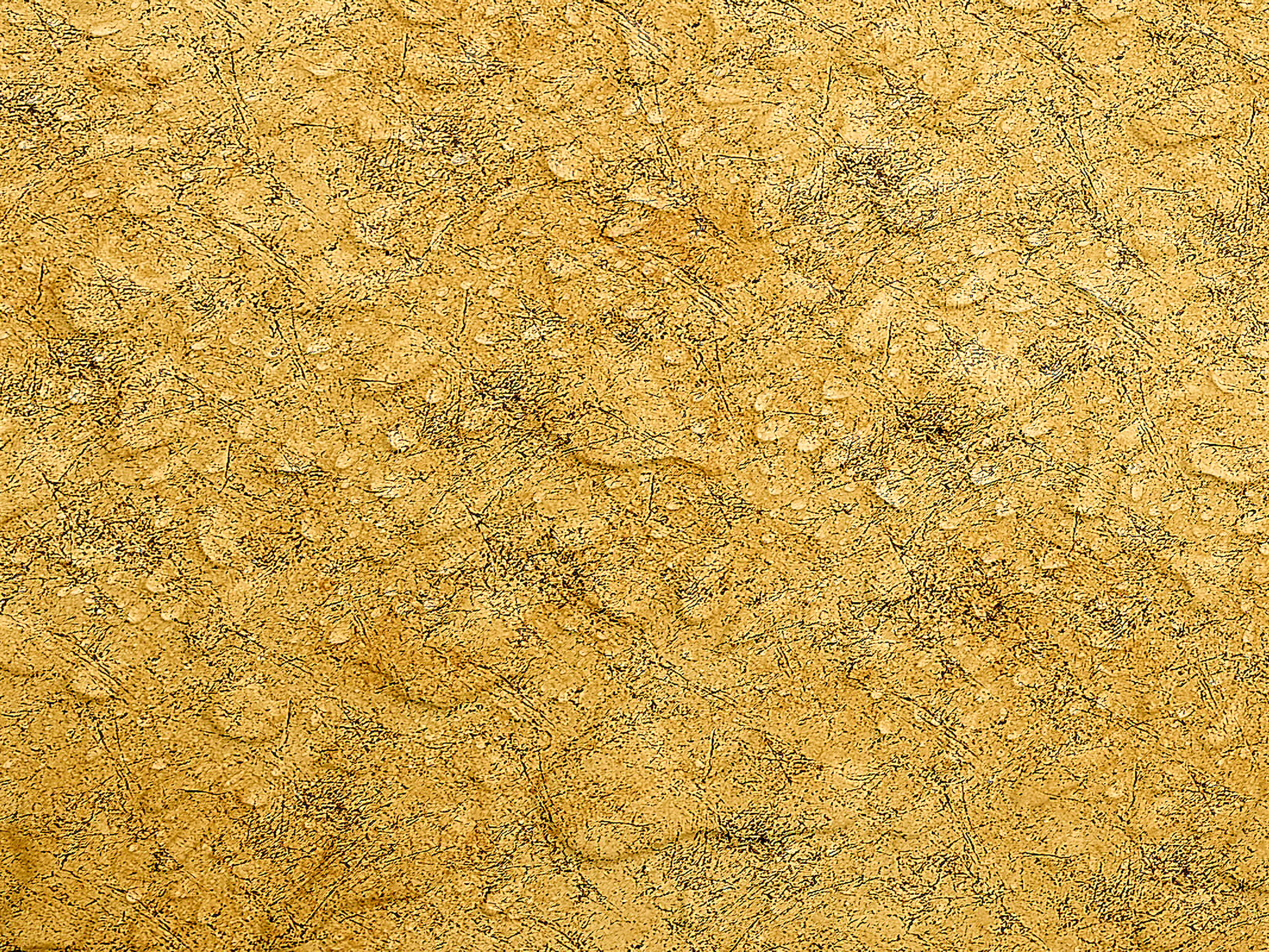 Testbild