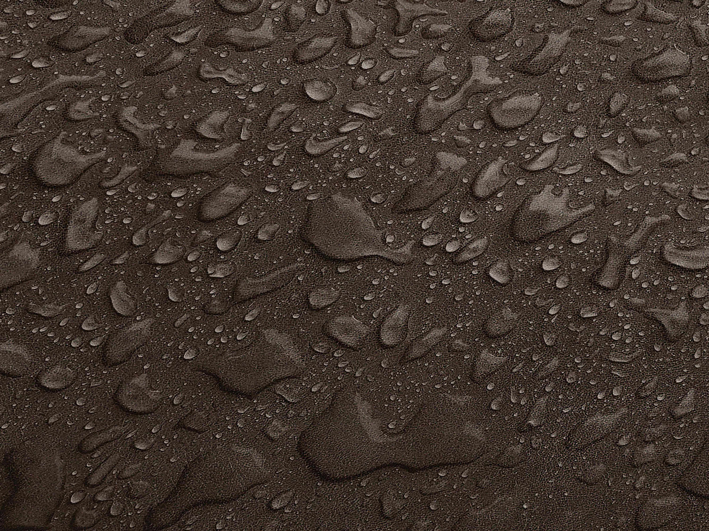 Testbild