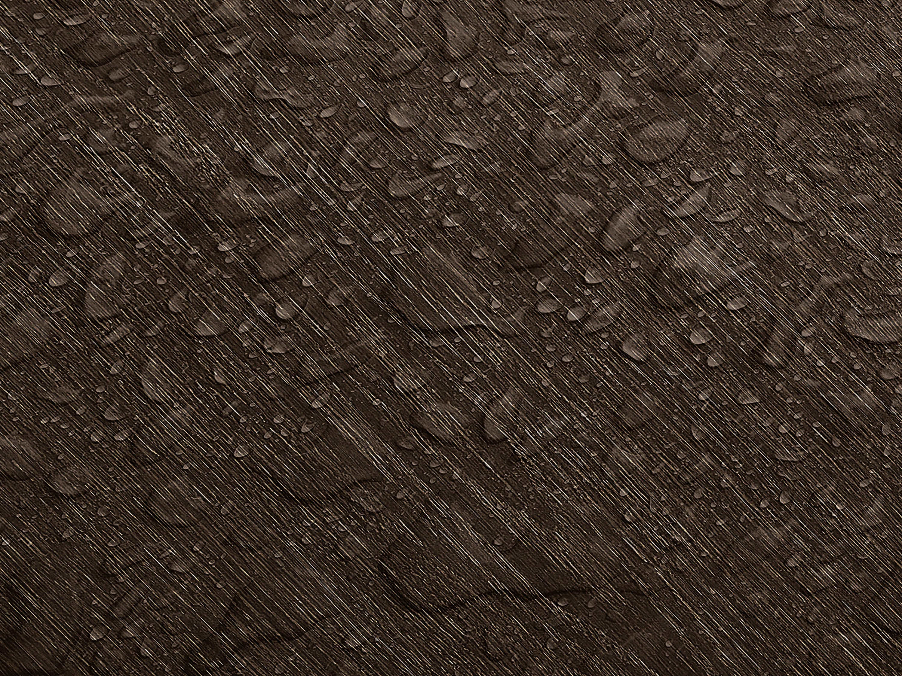 Testbild