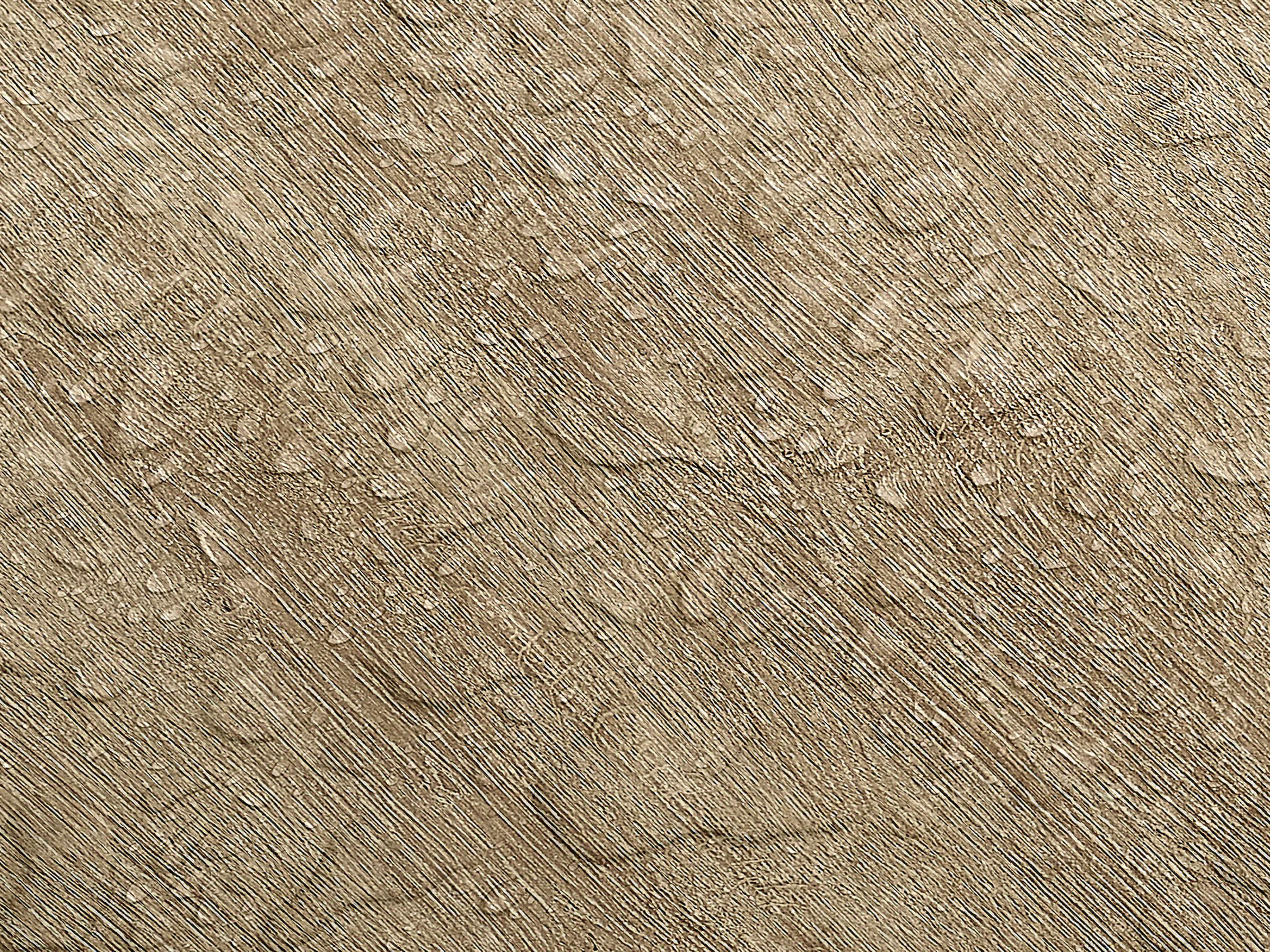 Testbild