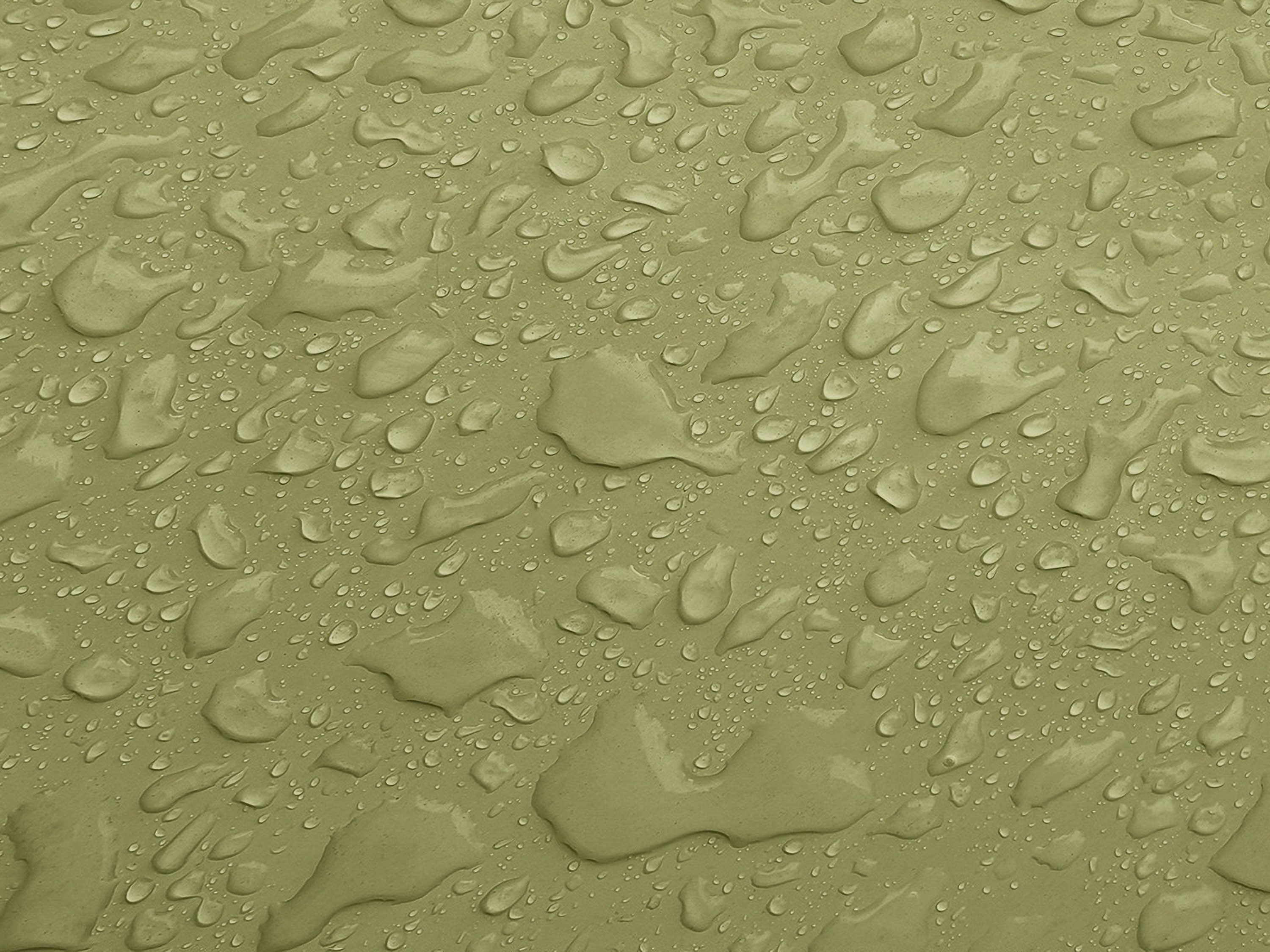 Testbild
