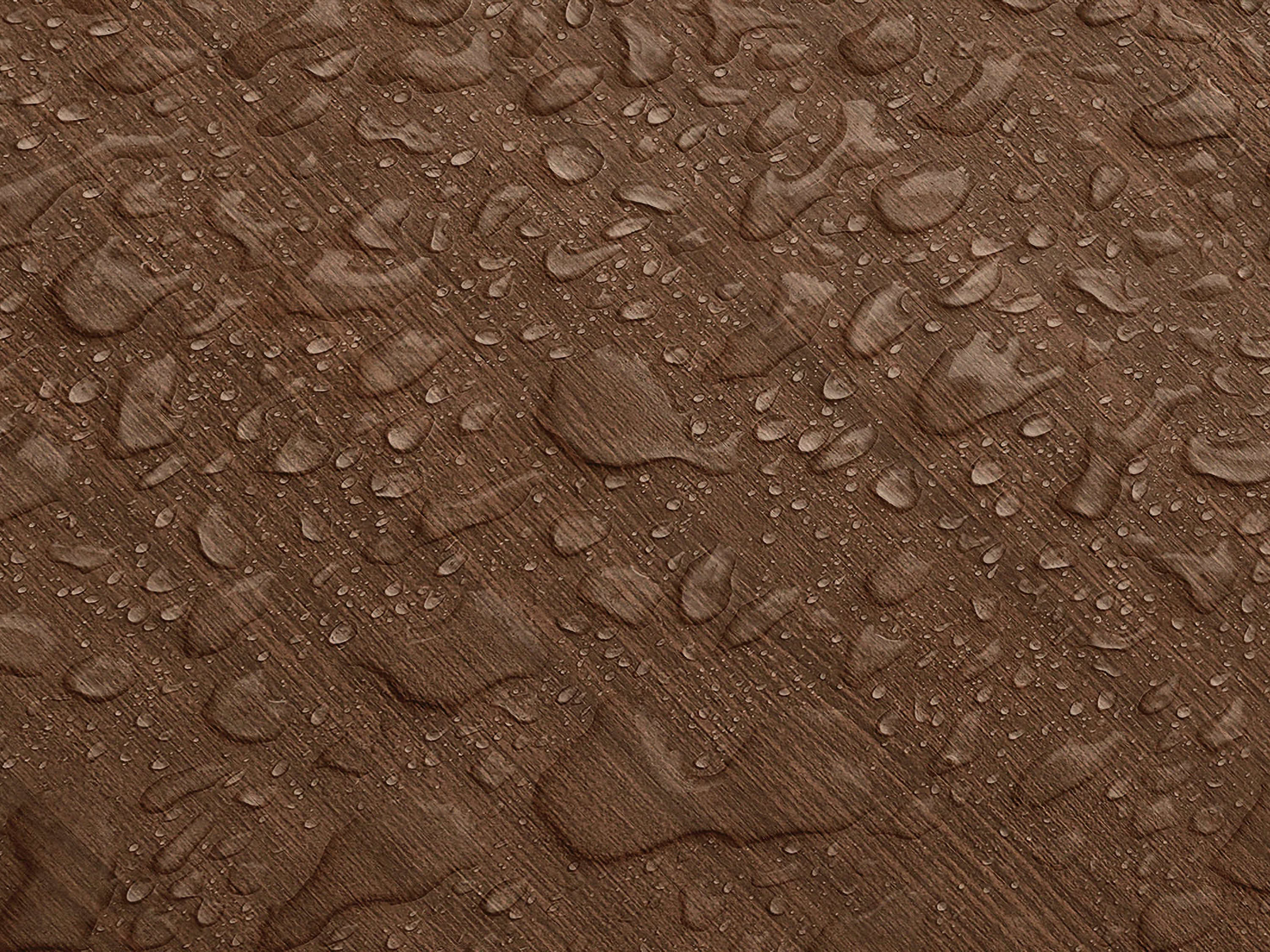 Testbild