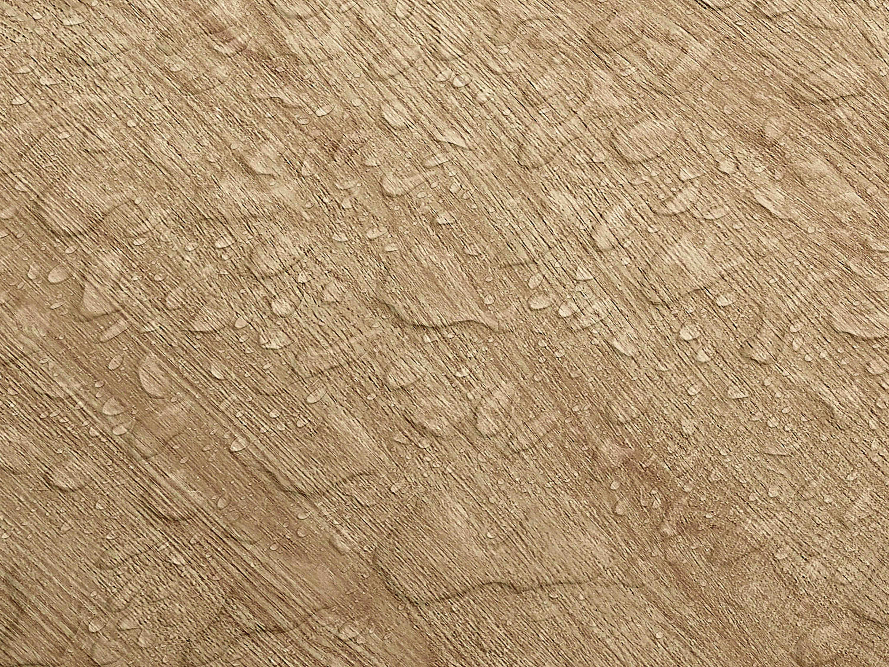 Testbild