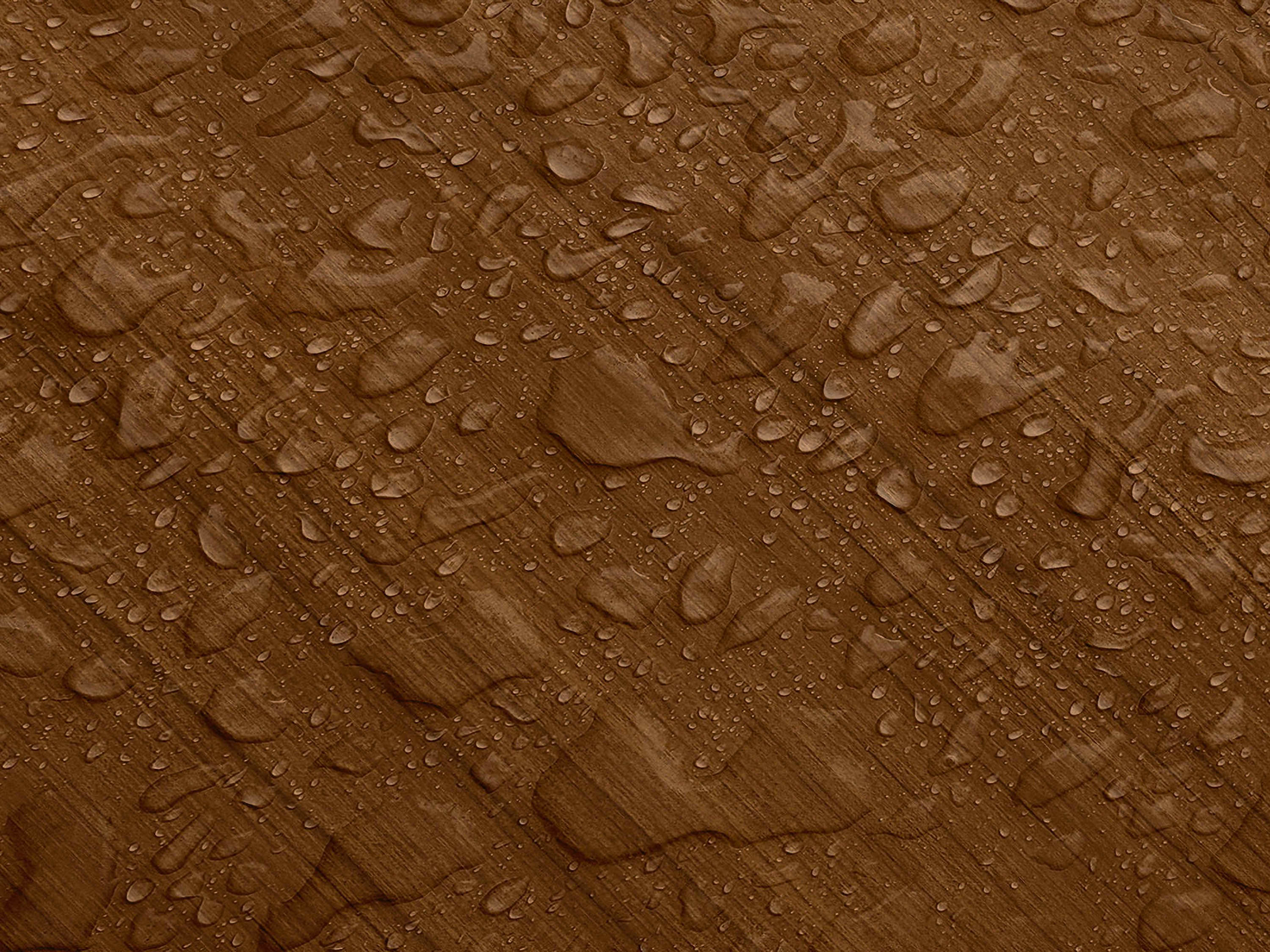 Testbild