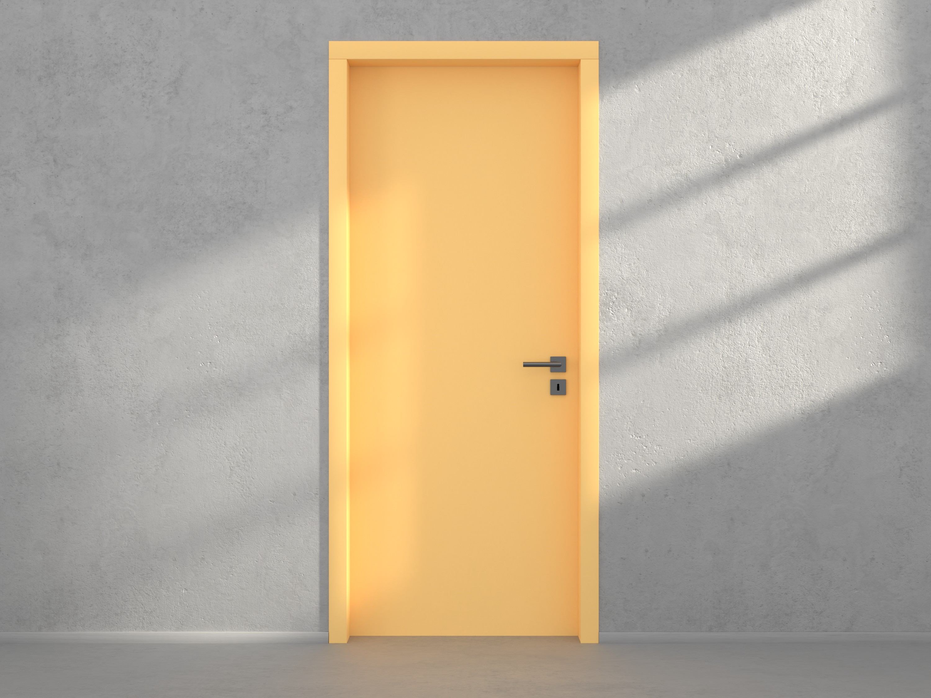 Door with material