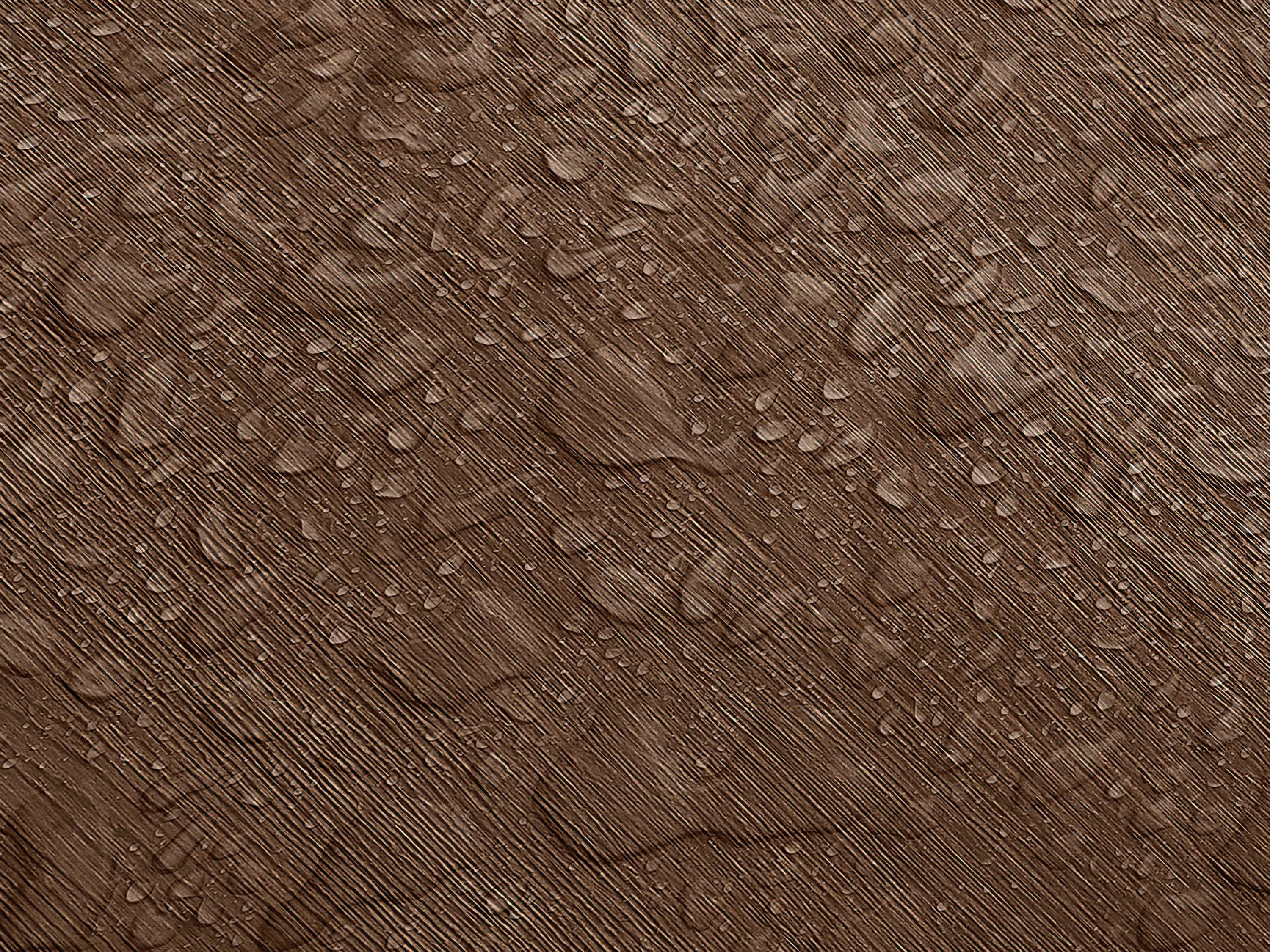 Testbild