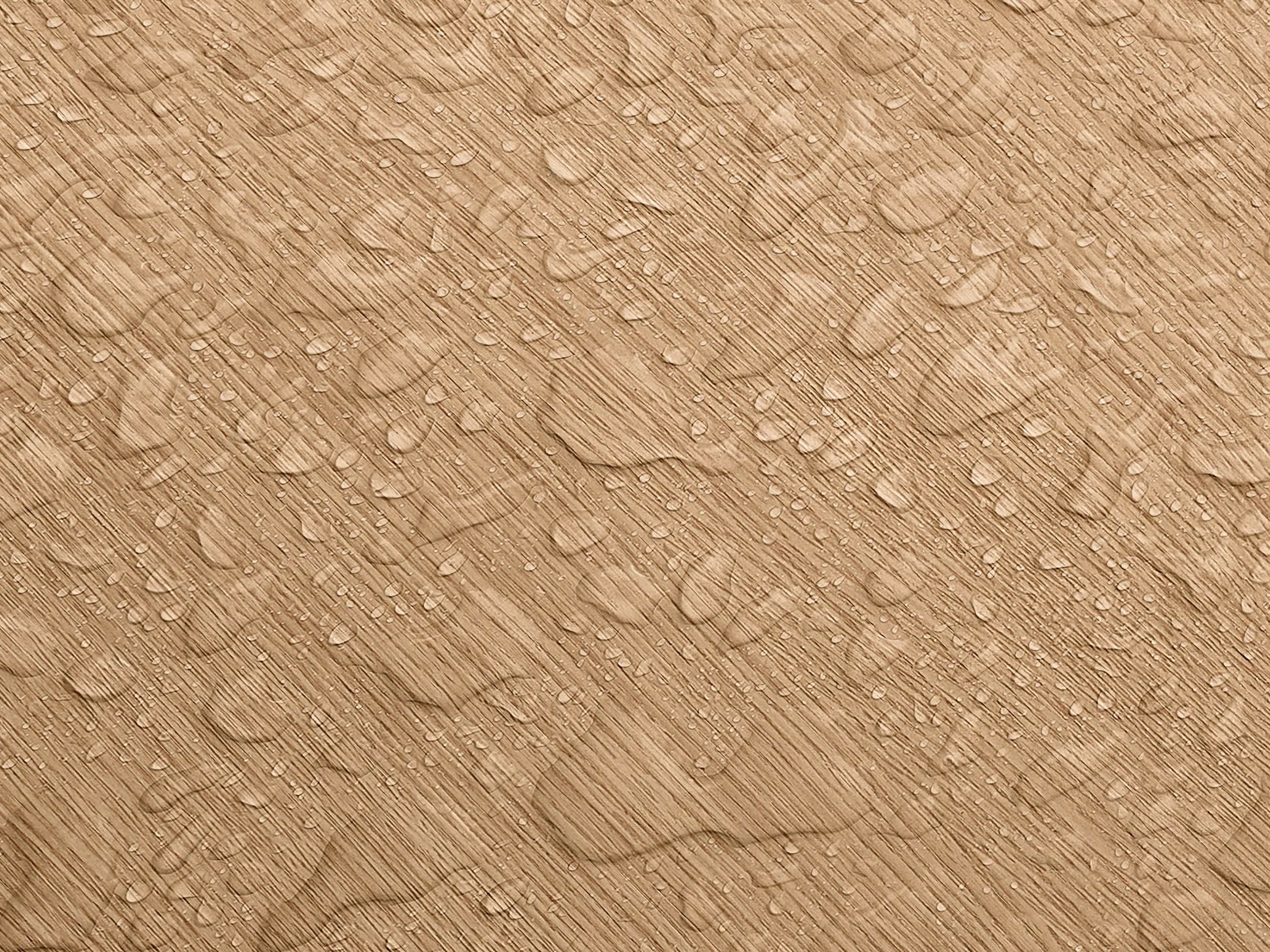 Testbild