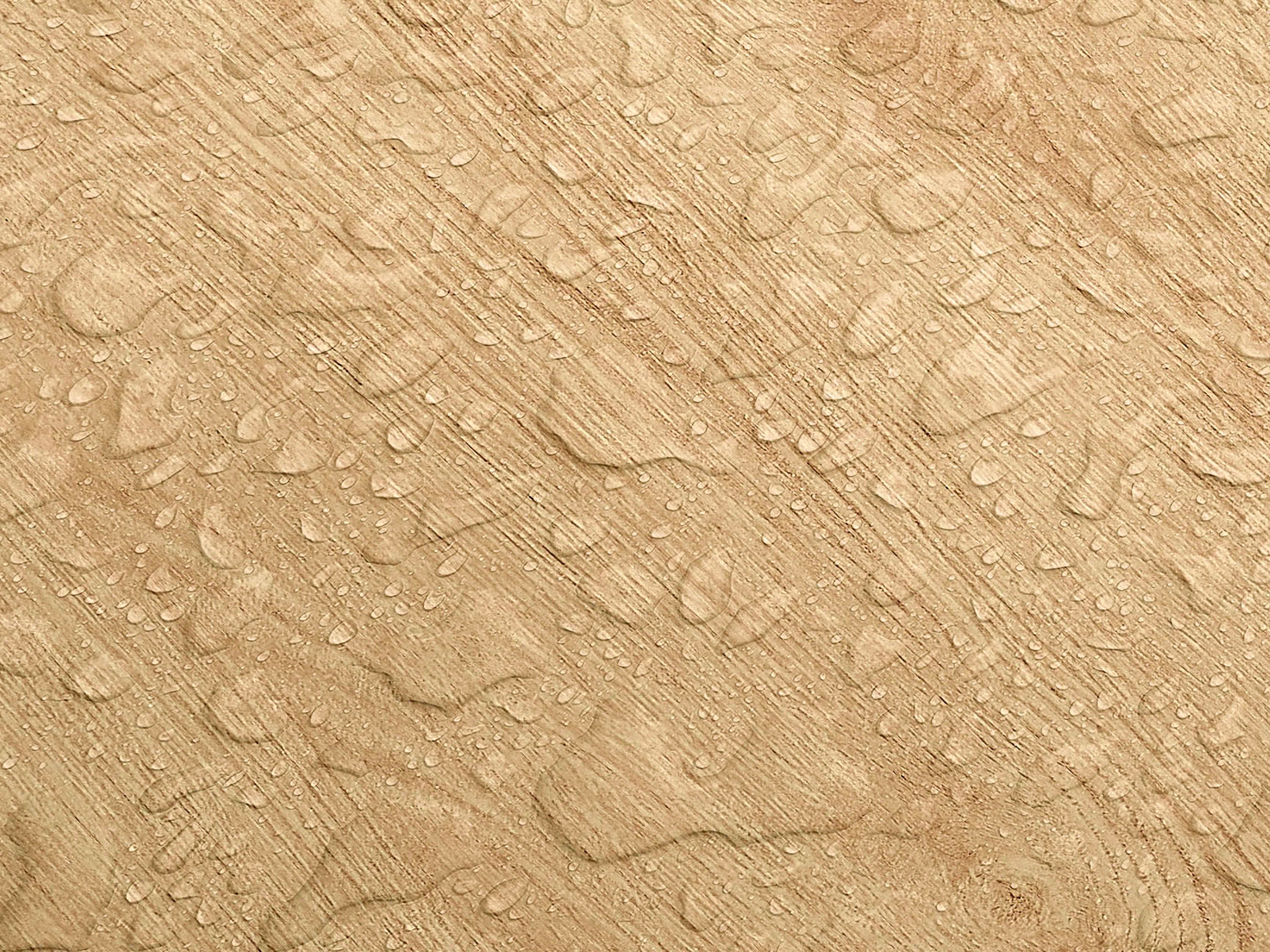 Testbild