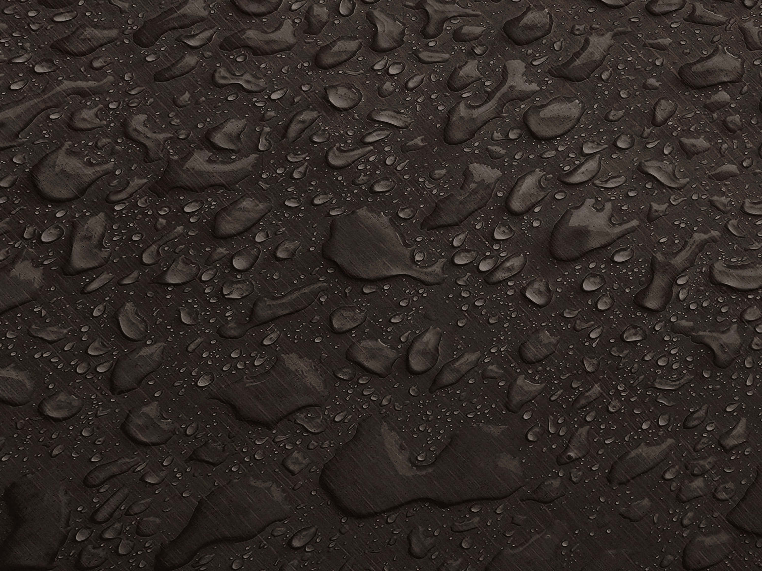 Testbild