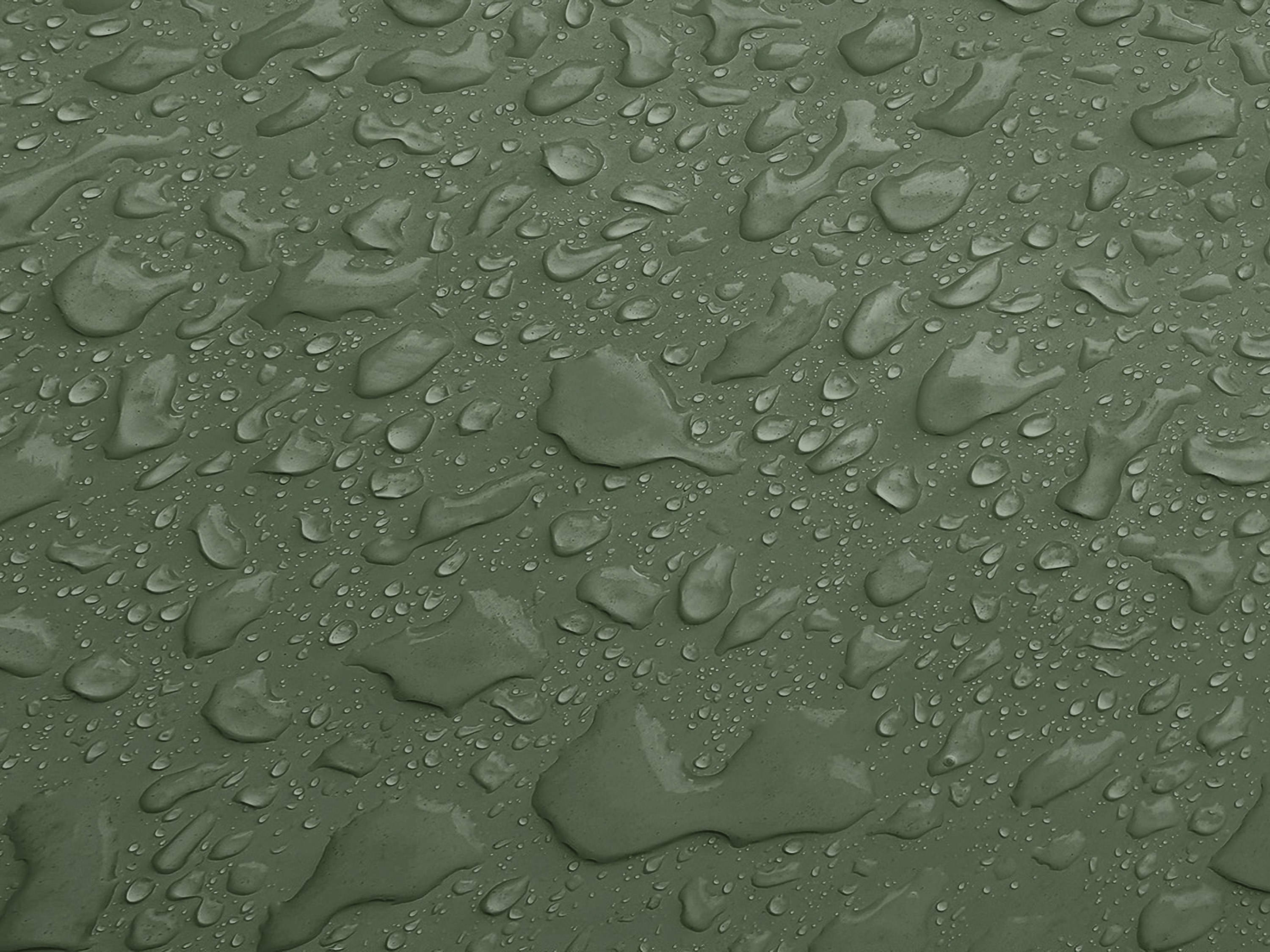 Testbild