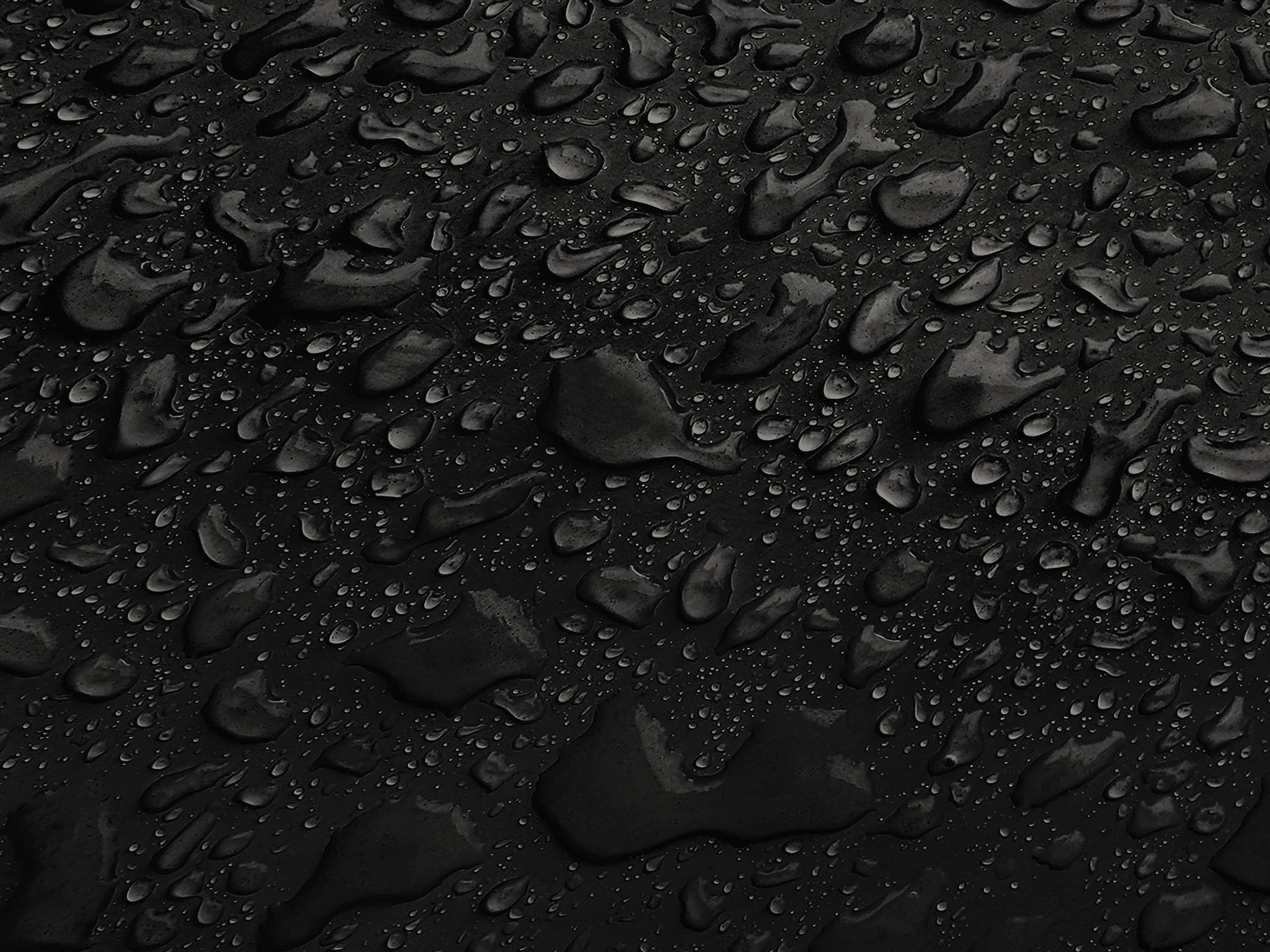 Testbild