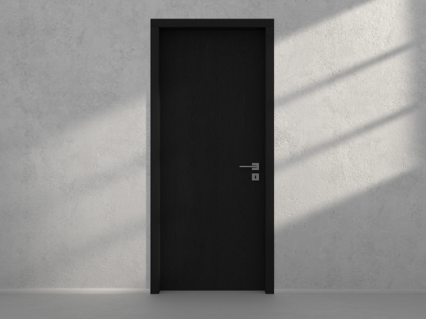 Door with material
