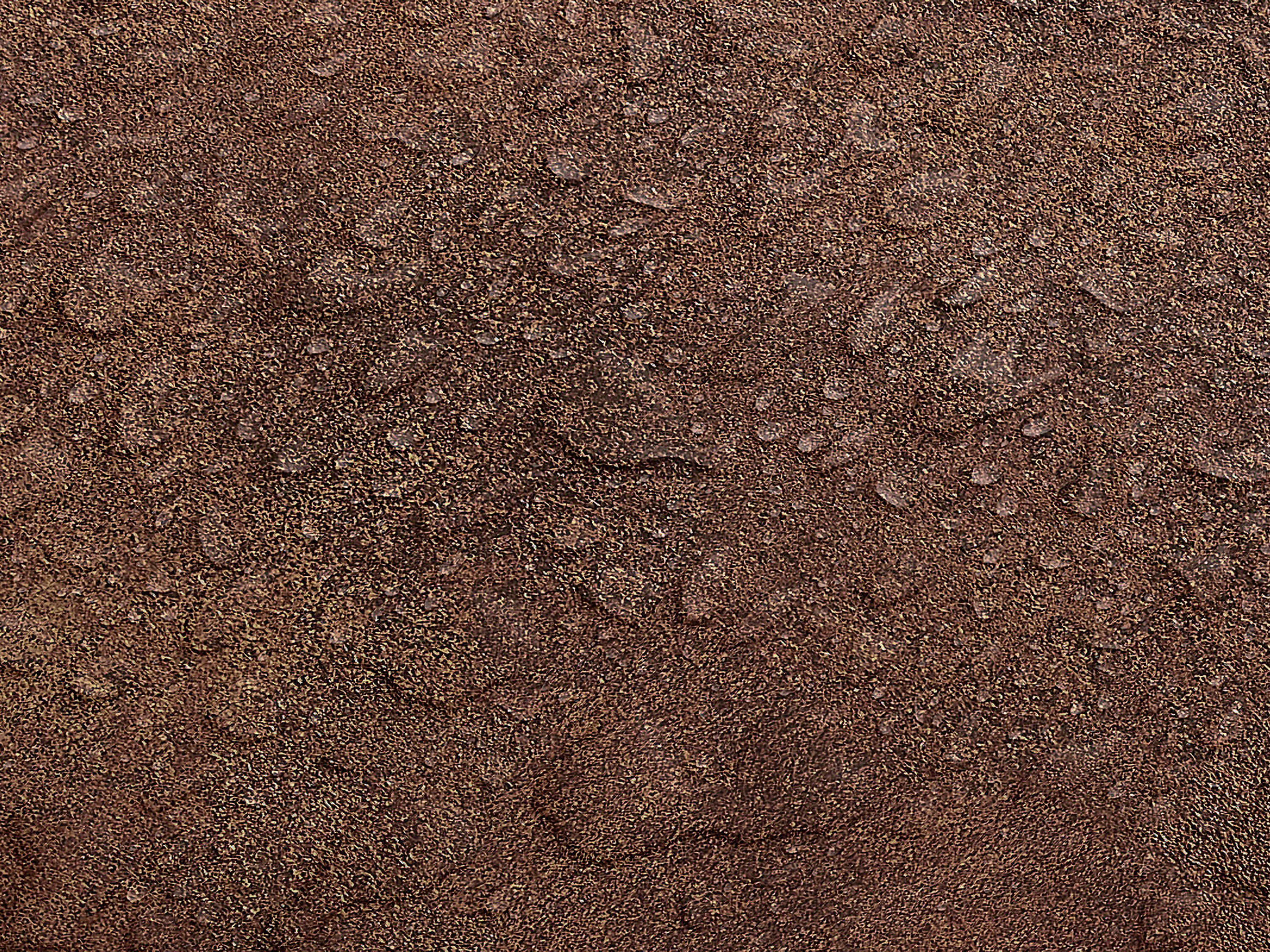 Testbild
