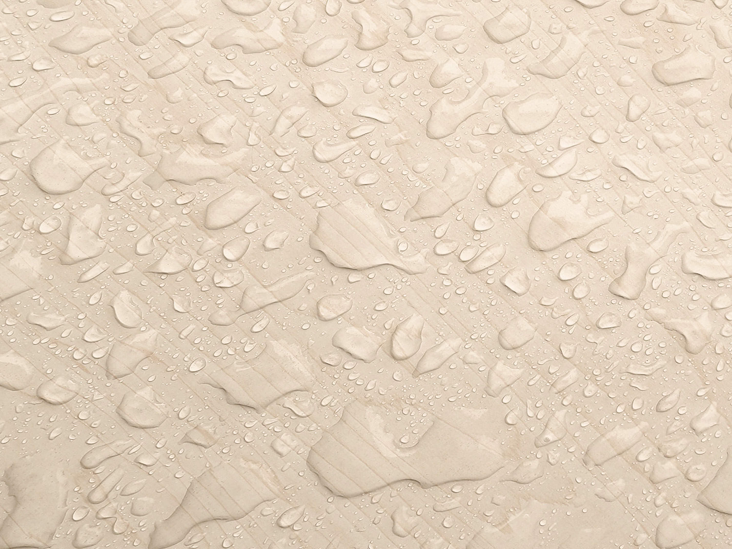 Testbild