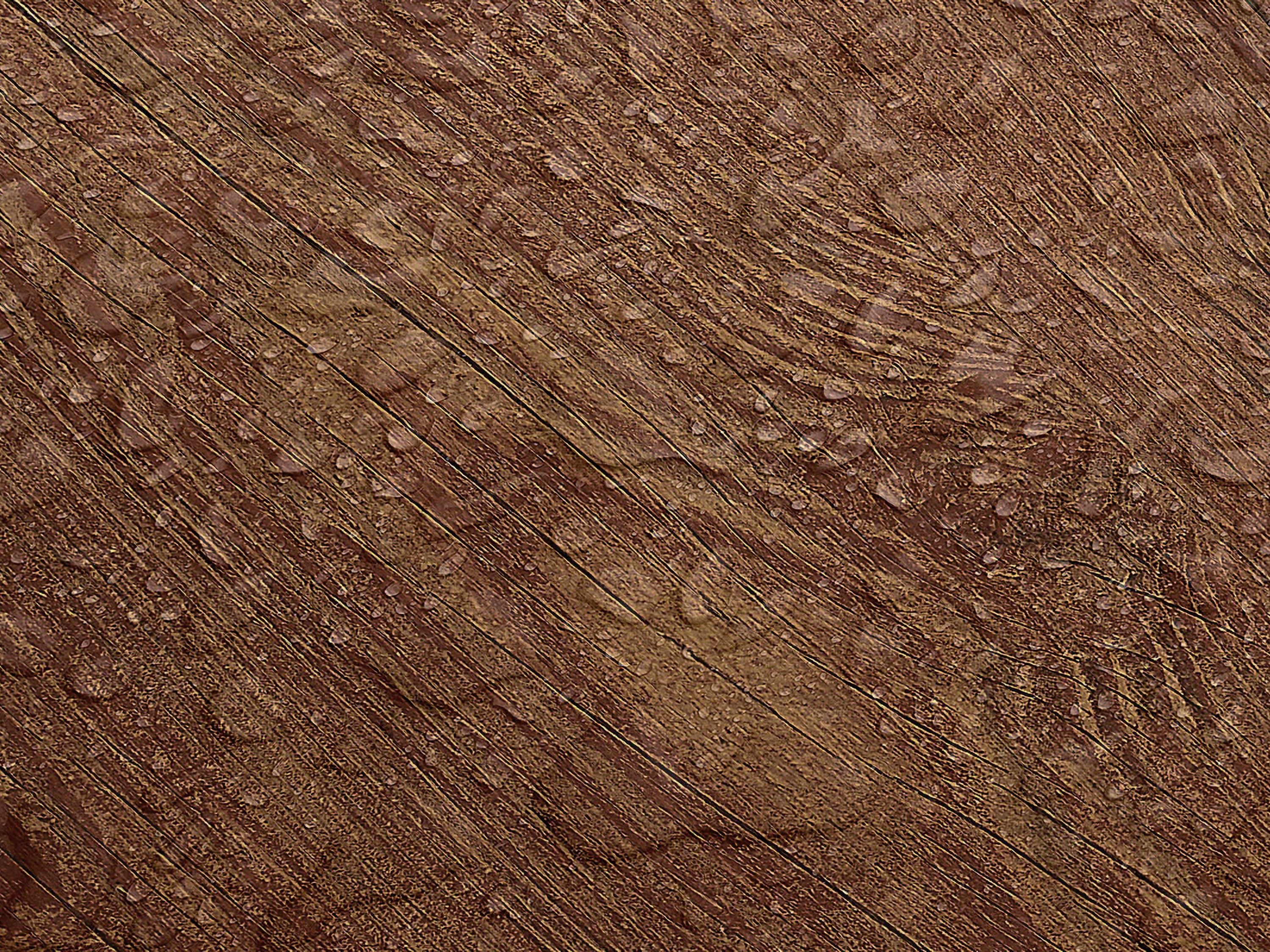 Testbild