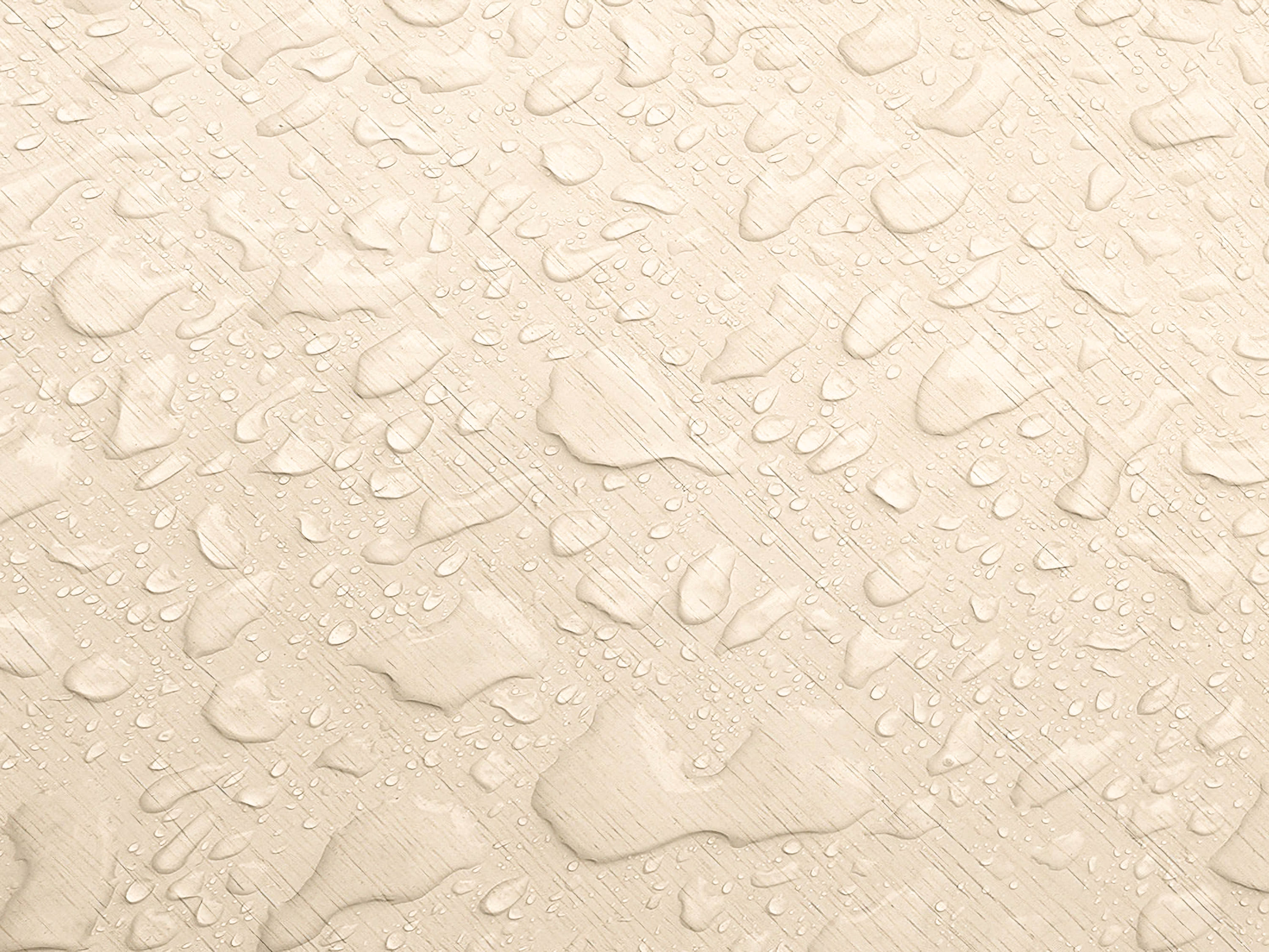 Testbild