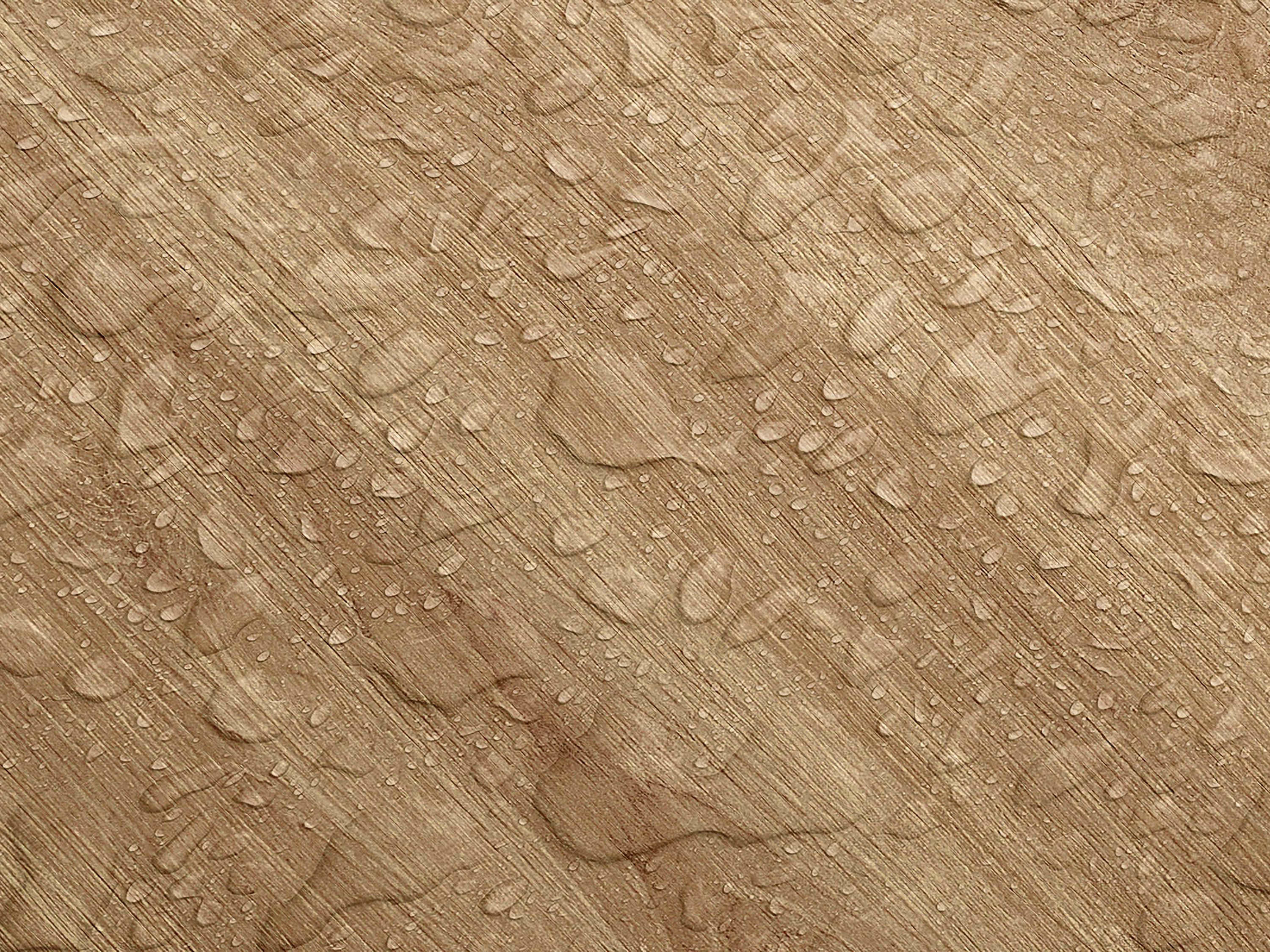 Testbild