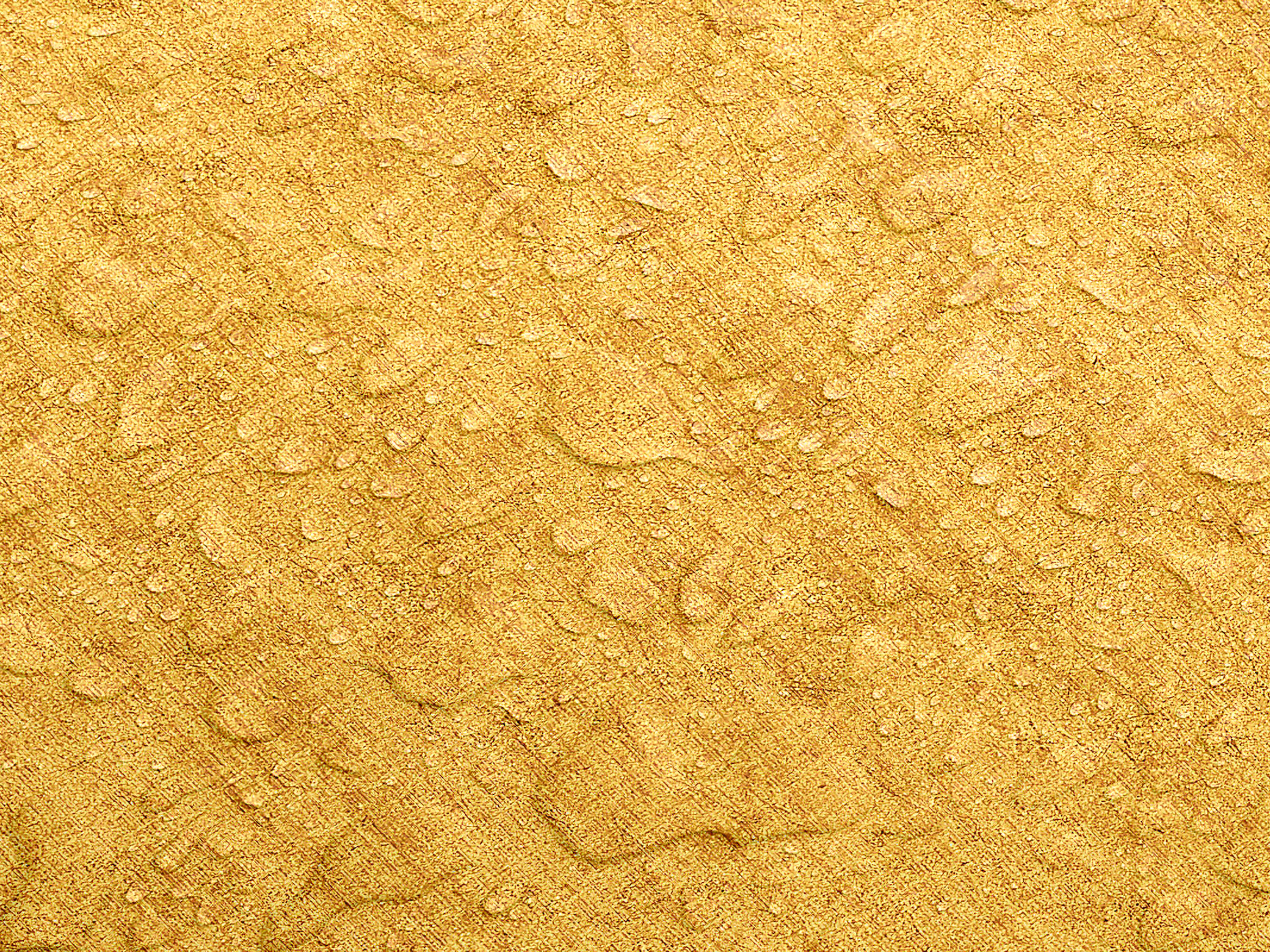 Testbild