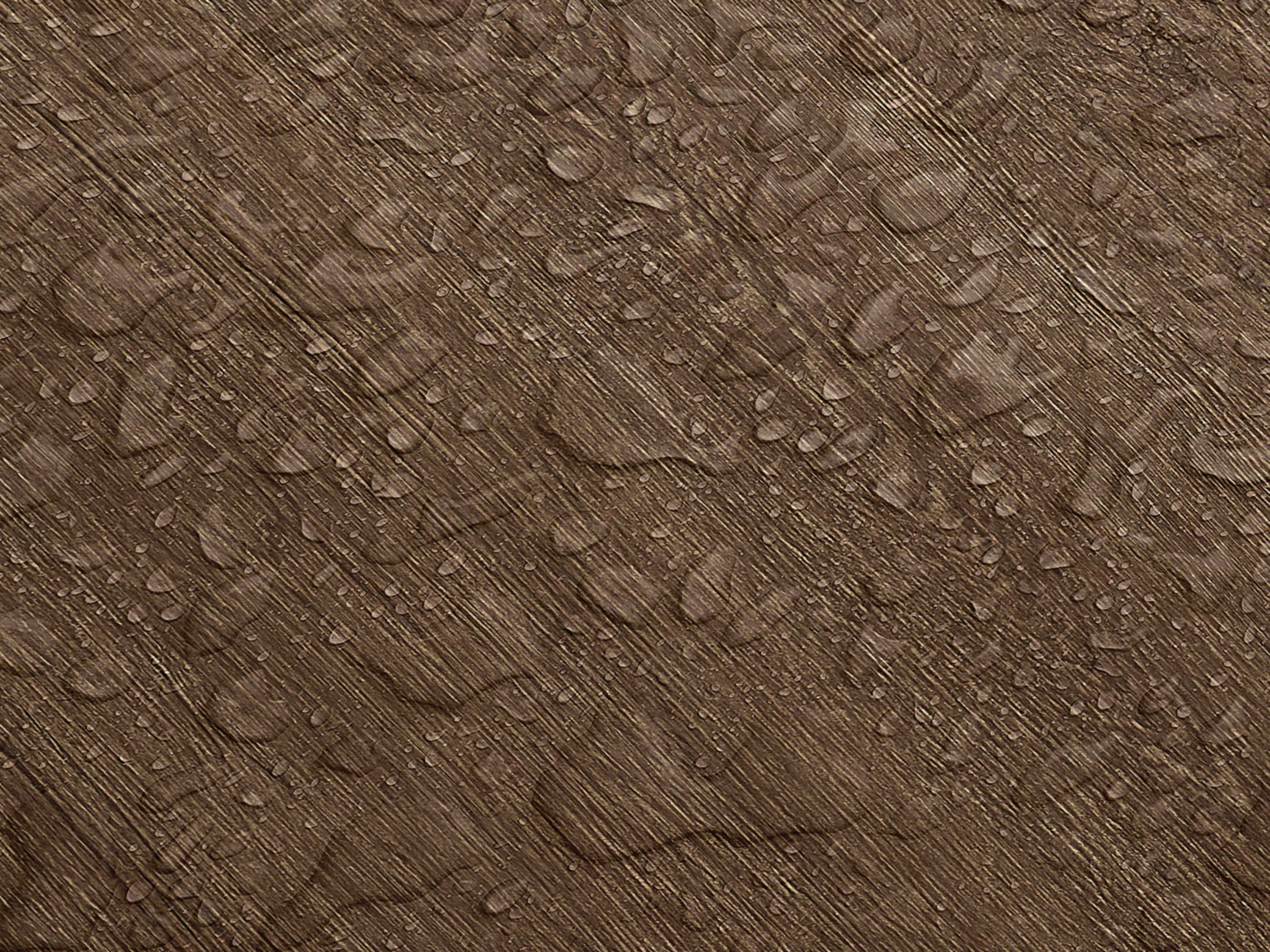 Testbild